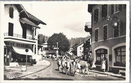 Saint-Cergue - Descente Du Paturage - Arzier-Le Muids - Gingins - Givrins - Trèlex - HP1555 - Arzier-Le Muids