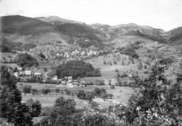 68-MUNSTER- LA VALLEE- VUE SUR HOHROD ET HOHRODGBERG - Munster