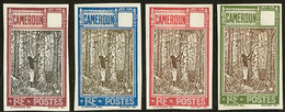 (*) Cameroun. Type N°112, 4 Bicolores Différents. - TB - Autres & Non Classés