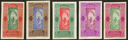 (*) Dahomey. Type N°43, Cinq Bicolores Différents. - TB - Autres & Non Classés