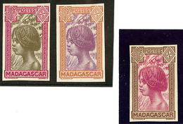 (*) Madagascar. Type N°165, Trois Bicolores Différents. - TB - Other & Unclassified
