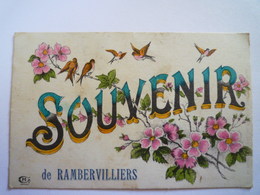 GP 2019 - 1154  RAMBERVILLIERS  (Vosges)  :  "Souvenir De Rambervilliers"   1918   XXX - Rambervillers