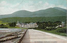 Old Colour Postcard, Ireland, The Promenade, Newcastle (co Down). Landscape, Buildings. - Down