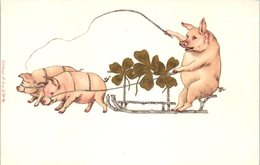 ANIMAUX --  COCHONS - Pigs