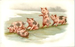 ANIMAUX --  COCHONS - Pigs