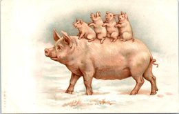 ANIMAUX --  COCHONS - Schweine