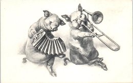 ANIMAUX --  COCHONS - Varkens
