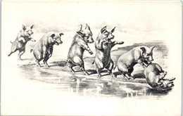 ANIMAUX --  COCHONS - Cerdos