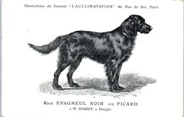 ANIMAUX - CHIENS - Illustration Du Journal " L'ACCLIMATATION " - Race - Epagneul Noir Ou Picard - Dogs