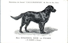 ANIMAUX - CHIENS - Illustration Du Journal " L'ACCLIMATATION " - Race - Epagneul Noir Ou Picard - Chiens