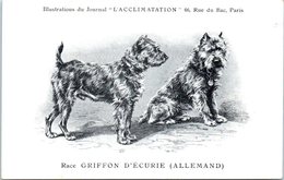 ANIMAUX - CHIENS - Illustration Du Journal " L'ACCLIMATATION " - Race - Griffon D'écurie ( Allemand - Dogs