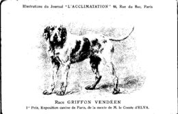ANIMAUX - CHIENS - Illustration Du Journal " L'ACCLIMATATION " - Race - Griffon Vendeen - Chiens