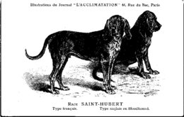 ANIMAUX - CHIENS - Illustration Du Journal " L'ACCLIMATATION " - Race - Saint Hubert - Dogs