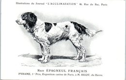 ANIMAUX - CHIENS - Illustration Du Journal " L'ACCLIMATATION " - Race - Epagneul Français - Honden