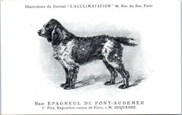 ANIMAUX - CHIENS - Illustration Du Journal " L'ACCLIMATATION " - Race - Epagneul De Pont Audemer - Dogs