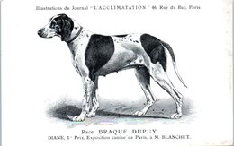 ANIMAUX - CHIENS - Illustration Du Journal " L'ACCLIMATATION " - Race - Braque Dupuy - Honden