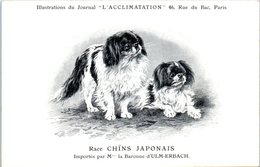 ANIMAUX - CHIENS - Illustration Du Journal " L'ACCLIMATATION " - Race -- Chïns Japonais - Chiens