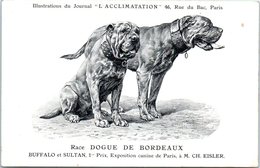 ANIMAUX - CHIENS - Illustration Du Journal " L'ACCLIMATATION " - Race -- Dogue De Bordeaux - Chiens