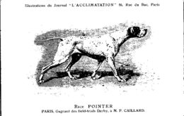 ANIMAUX - CHIENS - Illustration Du Journal " L'ACCLIMATATION " - Race -- Pointer - Hunde