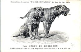 ANIMAUX - CHIENS - Illustration Du Journal " L'ACCLIMATATION " - Race -- Dogue De Bordeaux - Dogs