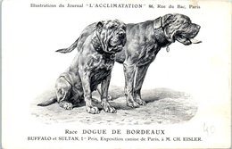 ANIMAUX - CHIENS - Illustration Du Journal " L'ACCLIMATATION " - Race -- Dogue De Bordeaux - Chiens