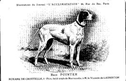 ANIMAUX - CHIENS - Illustration Du Journal " L'ACCLIMATATION " - Race -- Pointer - Hunde