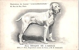 ANIMAUX - CHIENS - Illustration Du Journal " L'ACCLIMATATION " - Race - Braque De L'Ariège - Hunde