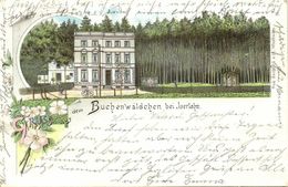 ISERLOHN, Mehrbildkarte, Gruss Aus Dem Buchenwäldchen (1899) Litho-AK - Iserlohn