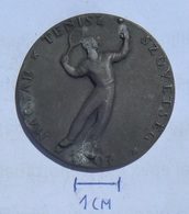 MEDAL Tennis 1950 MAGYAR TENISZ SZÖVETSÉG  KUT - Sonstige & Ohne Zuordnung