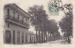 SIDI-BEL-ABBES Avenue Kléber Circulée Timbrée 1905 - Sidi-bel-Abbès