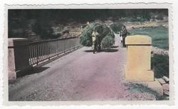Photo Originale Colorisée 1936 Verdon Ubaye Pont Fours ? Saint Paul ? Fenaison Rentrée Des Foins - Orte