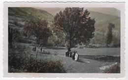 Photo Originale Colorisée 1936 Verdon La Palud Mariage - Orte