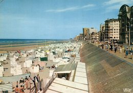 Delcampe - Westende - La Plage Et La Digue De Mer - Westende