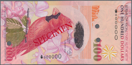 Bermuda: 100 Dollars 2009 SPECIMEN, P.62s In UNC Condition - Bermudas
