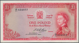 Rhodesia / Rhodesien: 1 Pound 1964 P. 25, Pressed But Still With Strongness In Paper, Light Folds An - Rhodésie