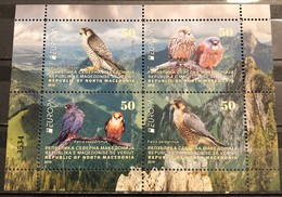 North Macedonia, 2019, Europa CEPT, Birds, Booklet  (MNH) - 2019