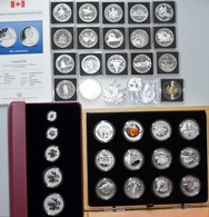 Kanada: Lot Diverse Silber Gedenkmünzen Aus Kanada, Dabei: Serie O Canada 2013 Mit 12 X 10 Dollars G - Canada