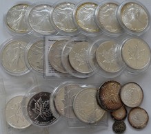 Vereinigte Staaten Von Amerika: Fast 18 OZ Silber. Davon 9 X 1 OZ American Silver Eagle; 6 X 5 CAD M - Autres & Non Classés