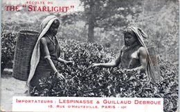 PUBLICITE -- Thé " STARLIGHT" Importateurs - Lespinasse & Guillaud Debroue - Publicité