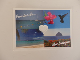 Martinique, Le Marin, Colibri, Les Salines, Le Diamant. - Le Marin