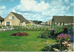 CARTE POSTALE - BERGUES - Le Village D'Hoymille - Nord (59) - Bergues