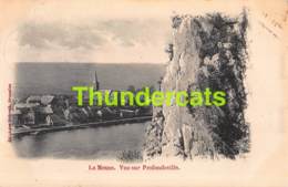 CPA LA MEUSE VUE SUR PROFONDEVILLE - Profondeville