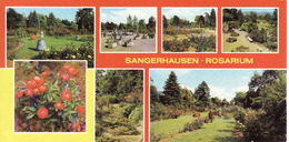 Germany > Saxony-Anhalt > Sangerhausen, Rosarium, Ungebraucht - Unused - Sangerhausen