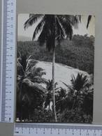 SAINT THOMAS E PRINCIPE - PRAIA DAS SETE ONDAS -  ILHA DE STº TOMÉ -   2 SCANS  - (Nº28800) - Sao Tome Et Principe