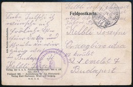 1917 Tábori Posta Képeslap / Field Postcard 'M.KIR. BUDAPESTI HONVÉD GYALOGEZRED' + 'TP 417' - Other & Unclassified