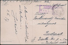 1917 Képeslap Haditengerészeti Postával 'Zensuriert K.u.k. Schul(flugstation Pola)' - Altri & Non Classificati