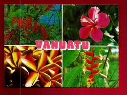 CP Océanie Vanuatu Tropical Flowers - Plantes Fleurs Fleur Poinciana Hibiscus Frangipani Bec Du Perroquet - Vanuatu