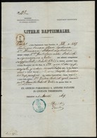 Cca 1869-1900 Trieszti és Zágrábi  Nyomtatványok, Okmányok, 2 Db - Non Classés