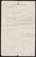 Cca 1920-1940 Különféle Gyógyszerészeti Gyakornoki Igazolások, Egy Részük Okmánybélyeggel - Sin Clasificación