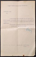 1919 Tanácsköztársaság Alatti Tanári Kinevezést Utóbb Megerősítő Irat  Huszár Károly (1882-1941) Vallás és Közoktatásügy - Ohne Zuordnung
